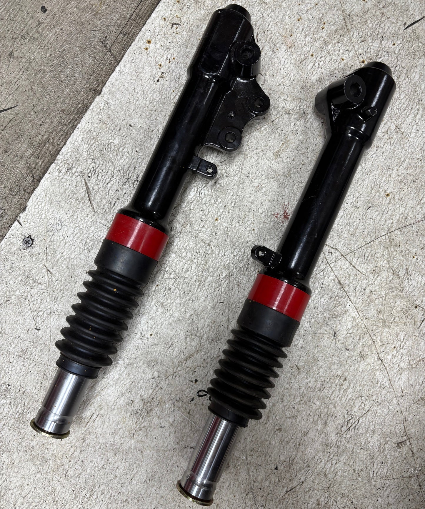Shock- 150 Raptor